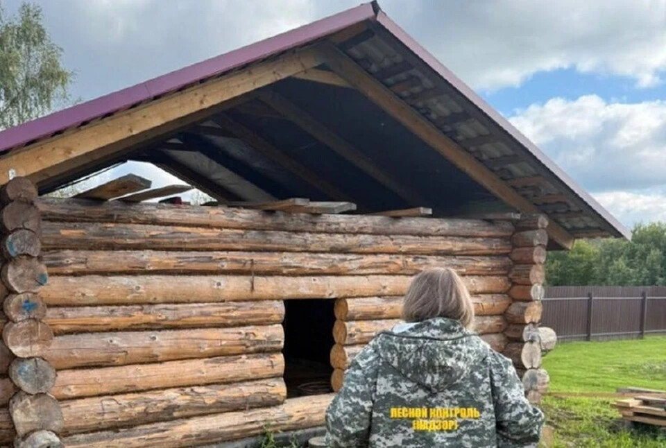 Власти проверят, как ярославцы используют полученную древесину
