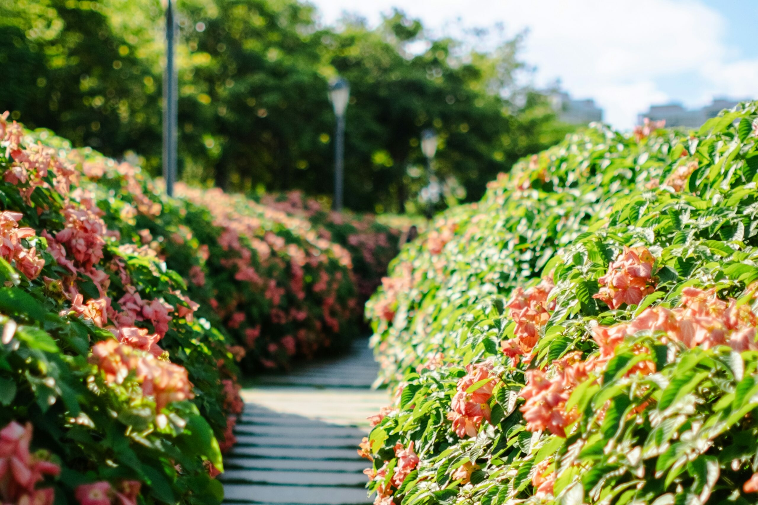 Пустующие и самовольные участки страны превращают в парки, дворы и общественные зоны