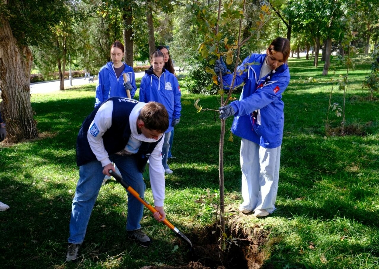 В Астрахани до зимы высадят семь тысяч растений город готовят к обновлению