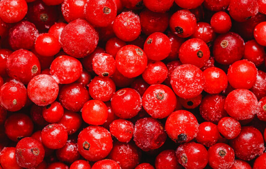 Кладезь витаминов: диетолог назвала полезные свойства клюквы