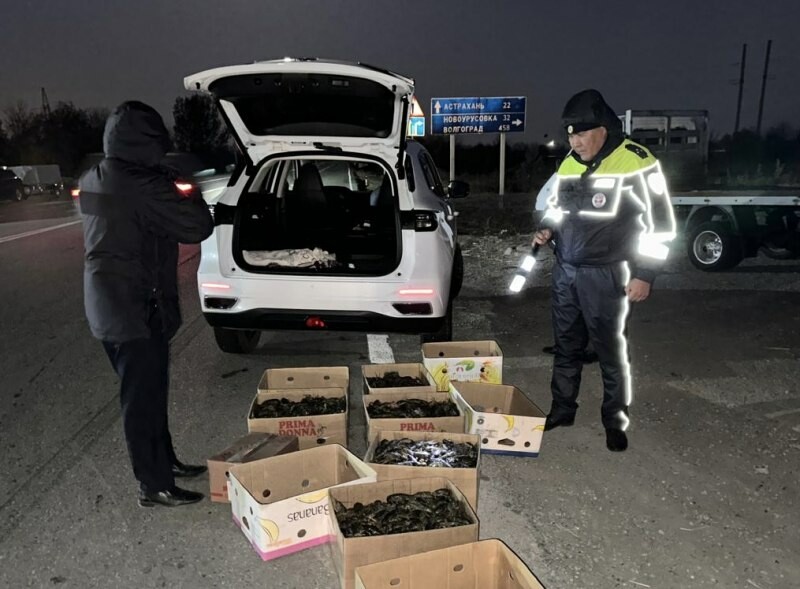 В Приволжском районе полицейские вернули в реку более 1800 раков