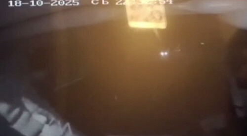 Подросток на Audi устроил погоню под Петербургом