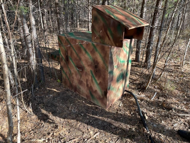 Под Тюменью нашли майнинг-ферму спрятанную в лесу среди деревьев