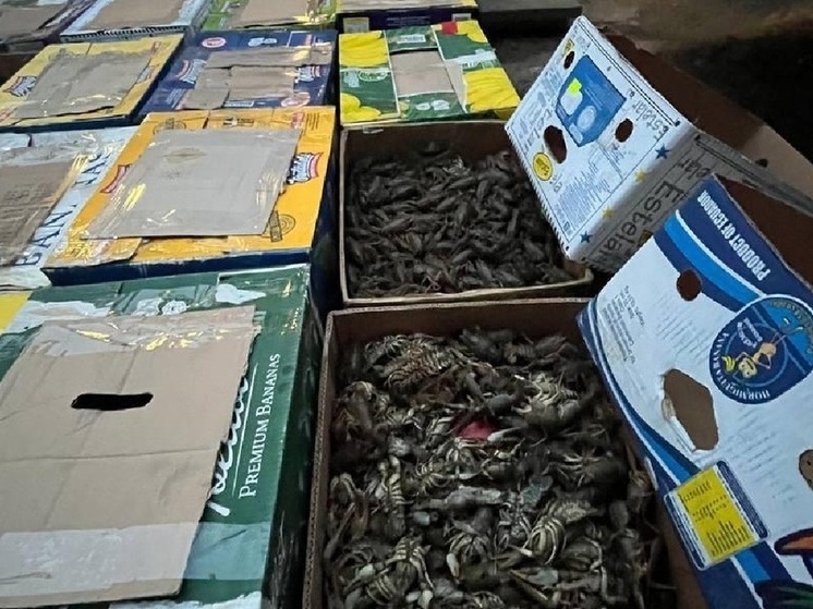 В Астрахани поймали полицейского, который за деньги обещал «тишину» бизнесу