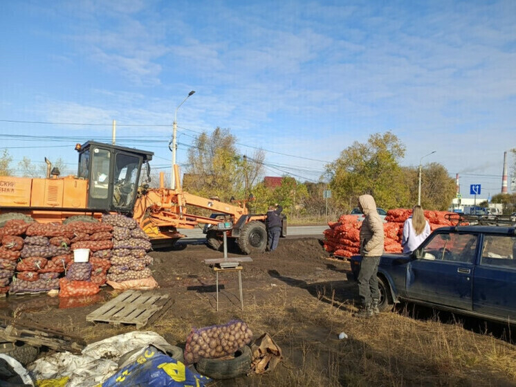 Омская окружная дорога завалена овощами