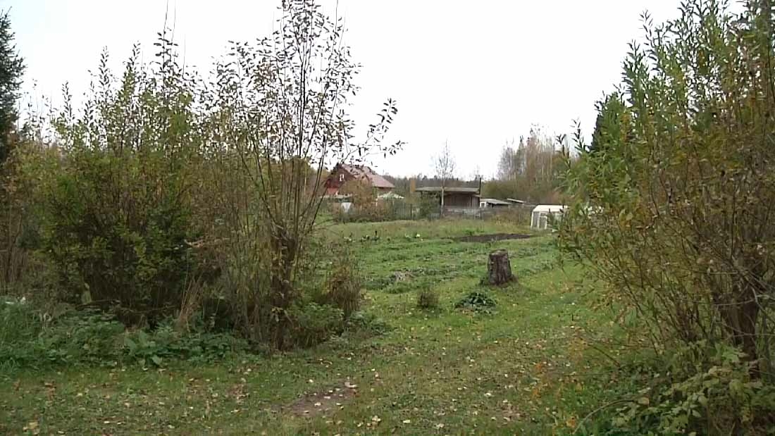 В Новгородской области суд рассмотрит дело дачного вора из Иркутска