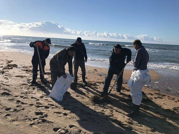 На берег в Краснодарском крае вынесло следы мазута