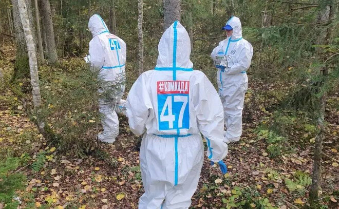 Животные Ленинградской области получают защиту от бешенства естественным путем