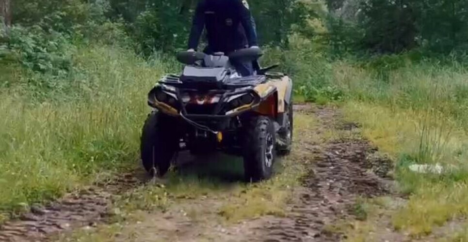 Поиски в лесах Новгородчины подходят к финалу