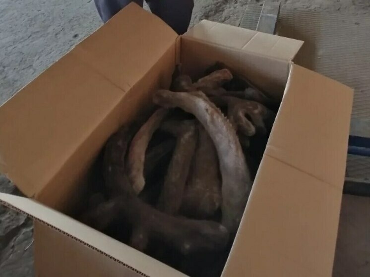 Кузбасское предприятие экспортировало в Китай редкие медицинские продукты