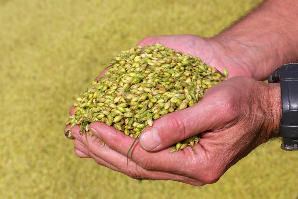 Вологжан приглашают поучаствовать во Всероссийском конкурсе «Лидеры АПК»