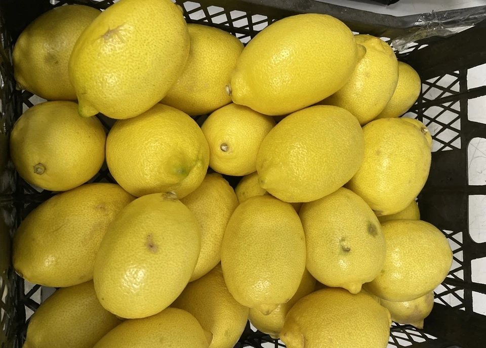 В Екатеринбурге обнаружили зараженные лимоны из Турции