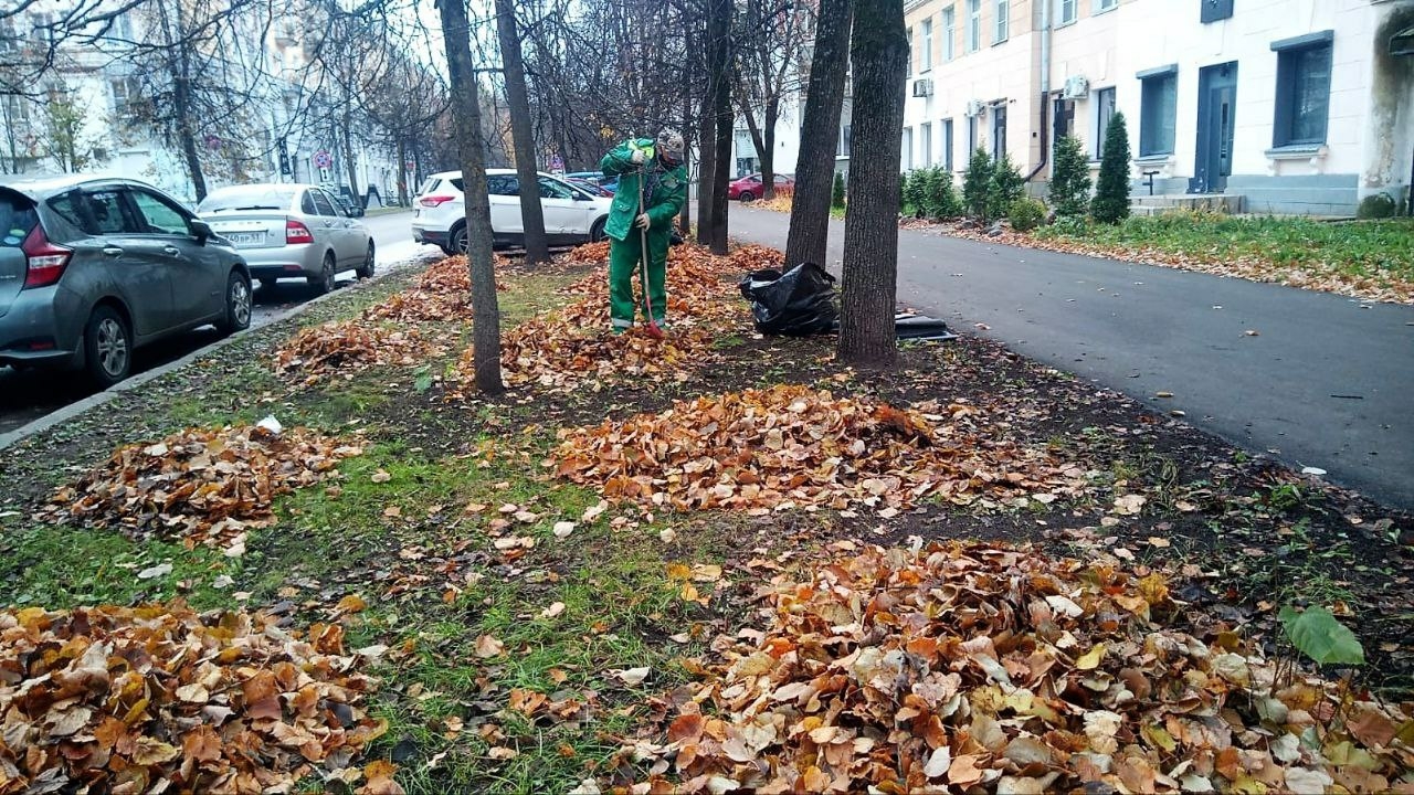 Розбаум пригласил новгородцев принять участие в субботнике 25 октября