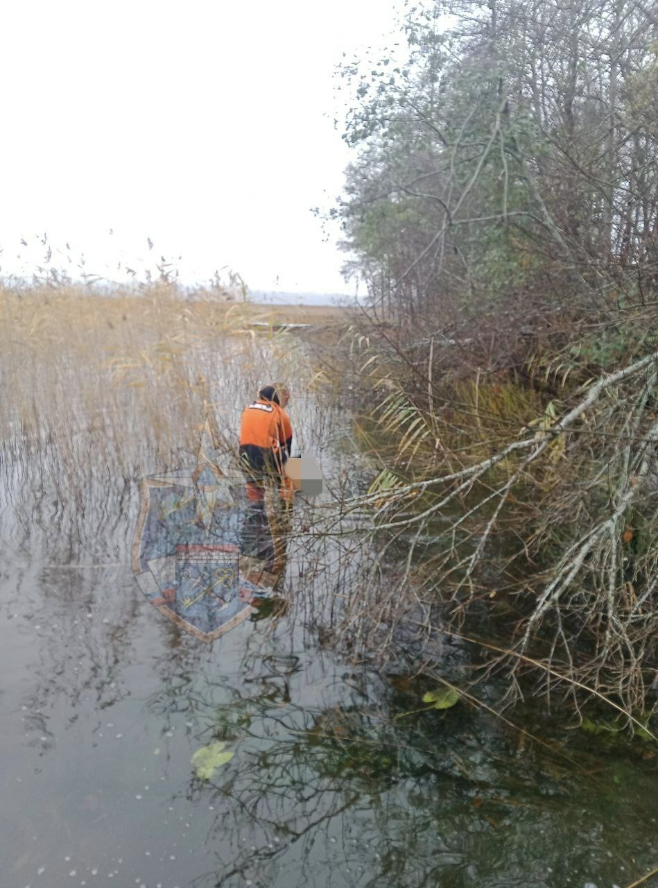 В Ленинградской области спасатели подняли тело мужчины из озера Комсомольское