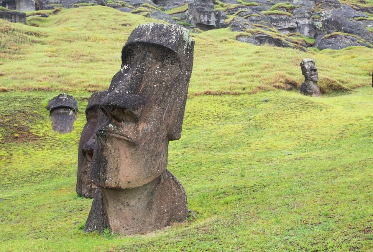Ученые предложили новую теорию перемещения статуй моаи на острове Пасхи