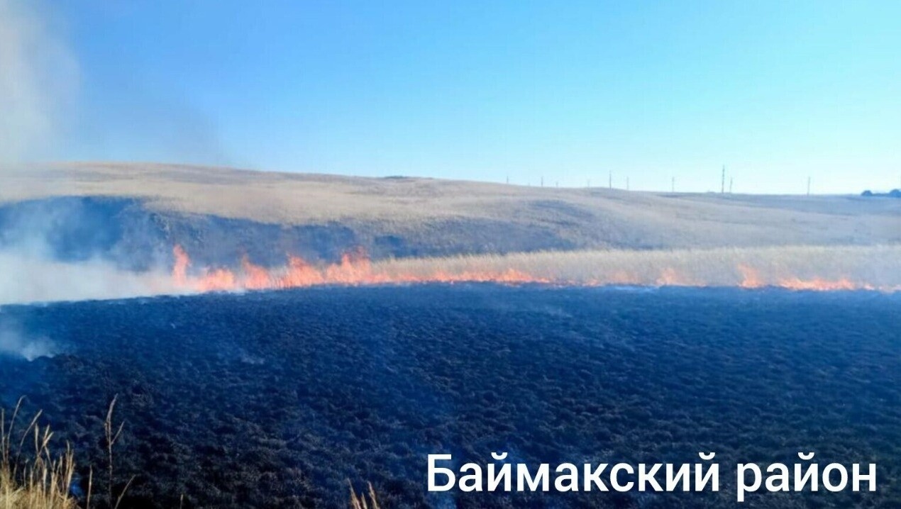 В двух районах Башкирии потушили горящую сухую траву