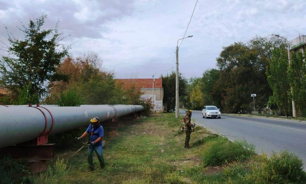 В Астрахани убрали более 55 га сорняков за месяц осенних работ