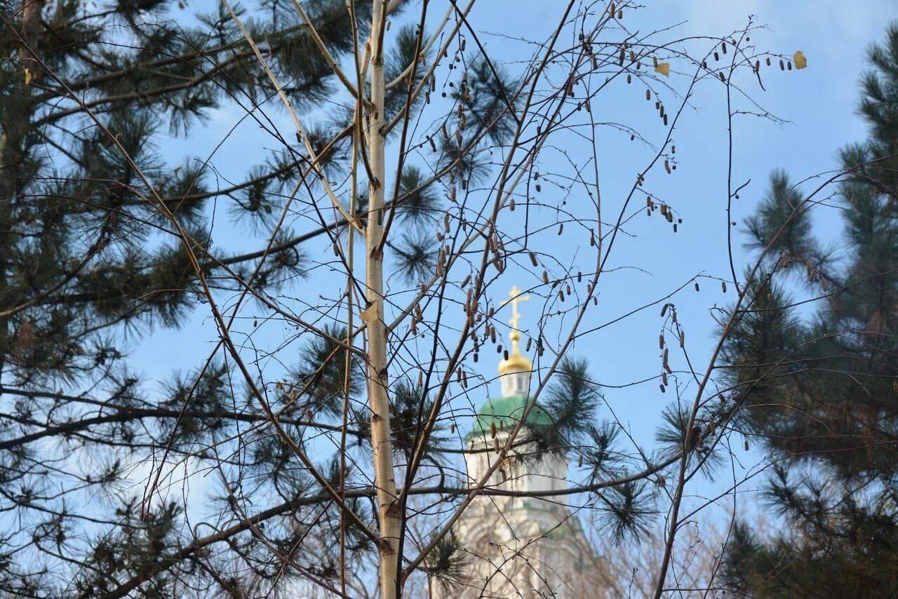 В Астрахани продолжается осенняя посадка деревьев