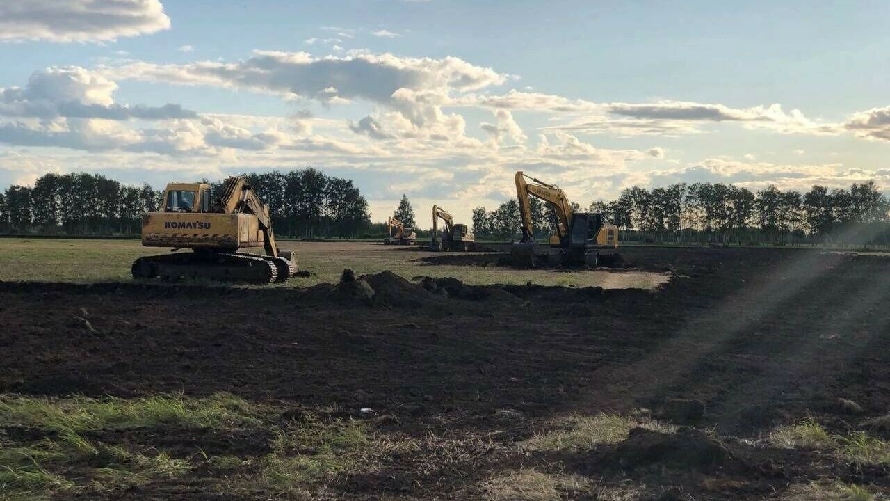 В Омской области построят тепличный комплекс для круглогодичного выращивания овощей