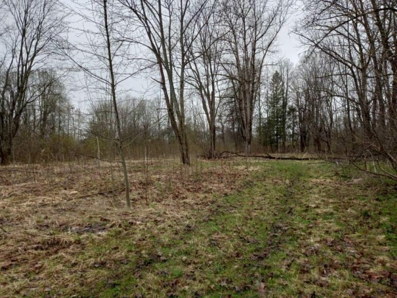 Землю в Бологое выставили на продажу