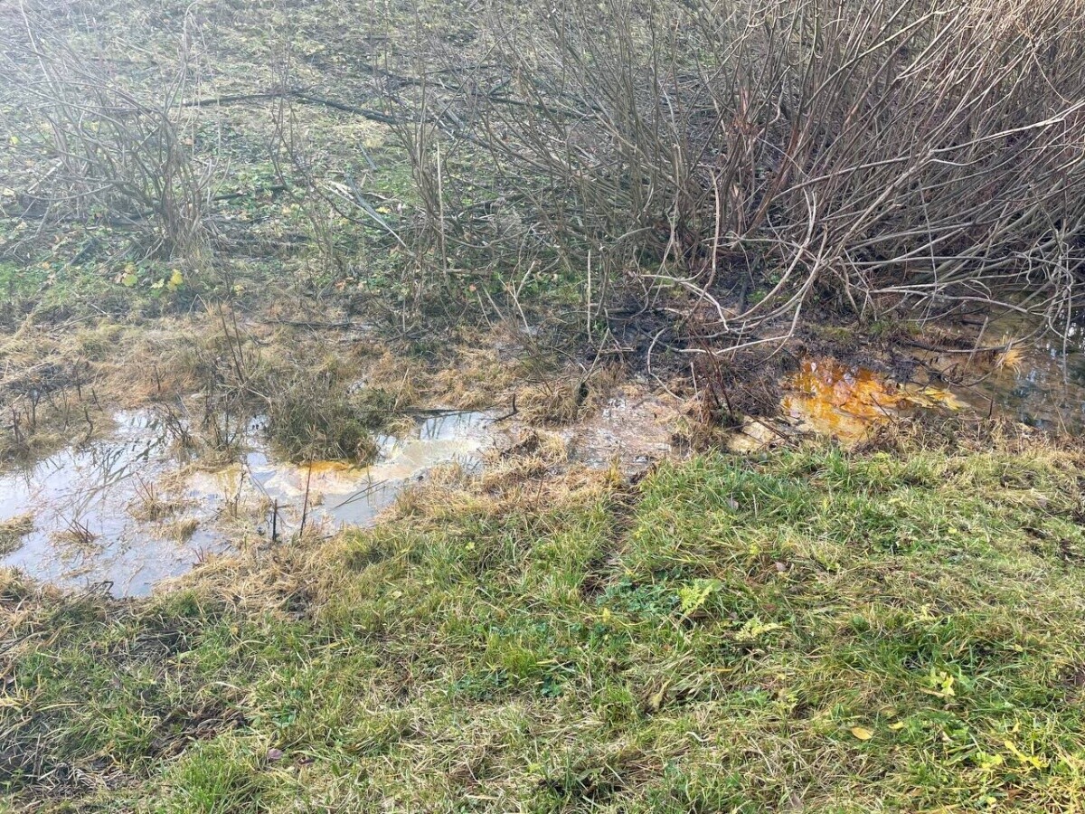 Росприроднадзор проверяет разлив нефтепродуктов в Кстовском районе