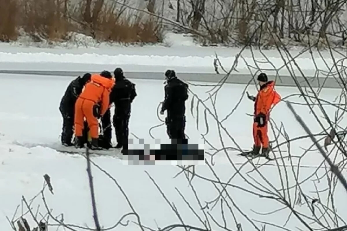 В Новосибирске завершили поиски ребенка на Ине