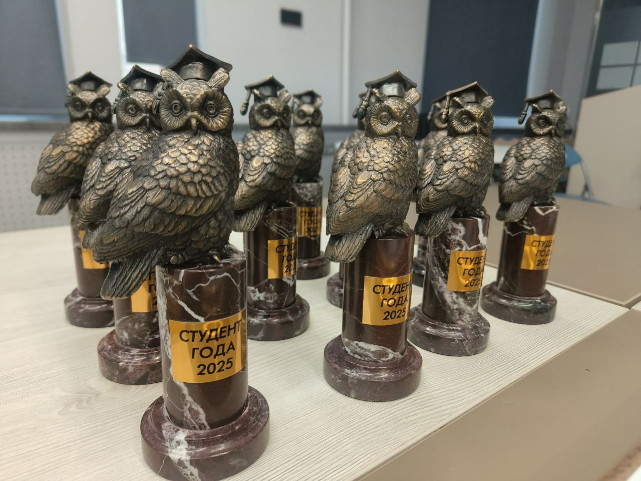 В Санкт‑Петербурге наградили победителей конкурса «Студент года»