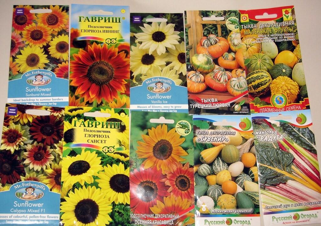 В Костроме изъяли более тысячи партий «нелегальных» семян