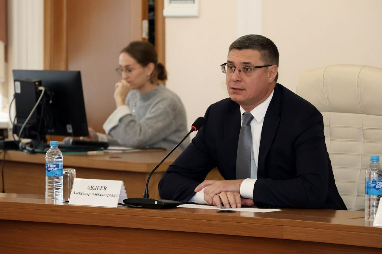Губернатор Авдеев: Владимирская область заботится о матерях и детях