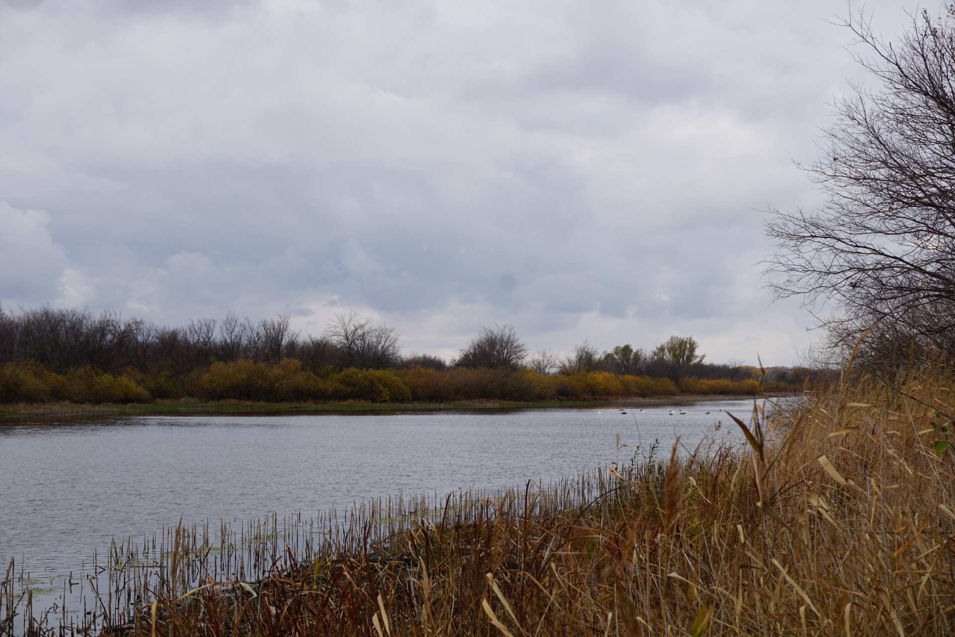 Пасмурные дни задержатся в Волгоградской области