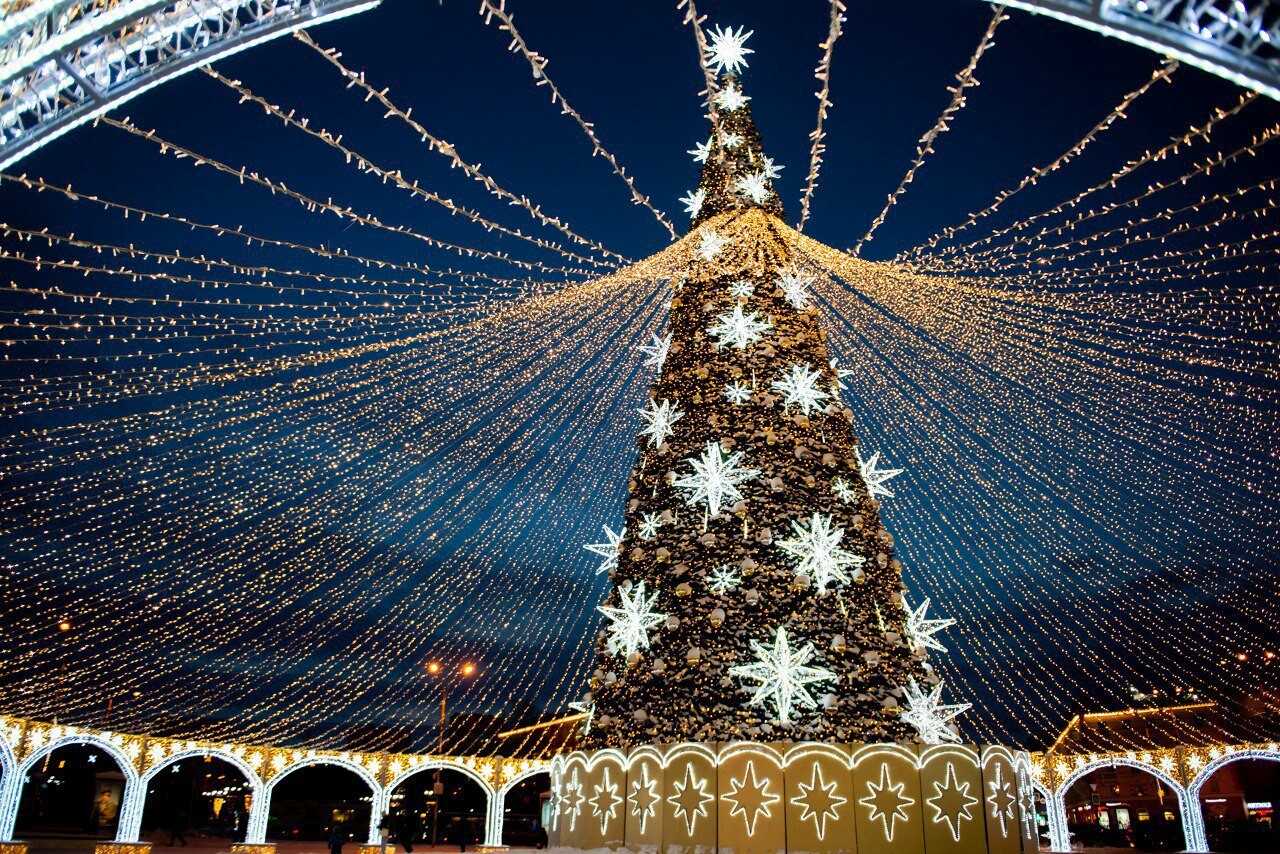 В Мурманске огни на главной новогодней елке зажгут 15 ноября