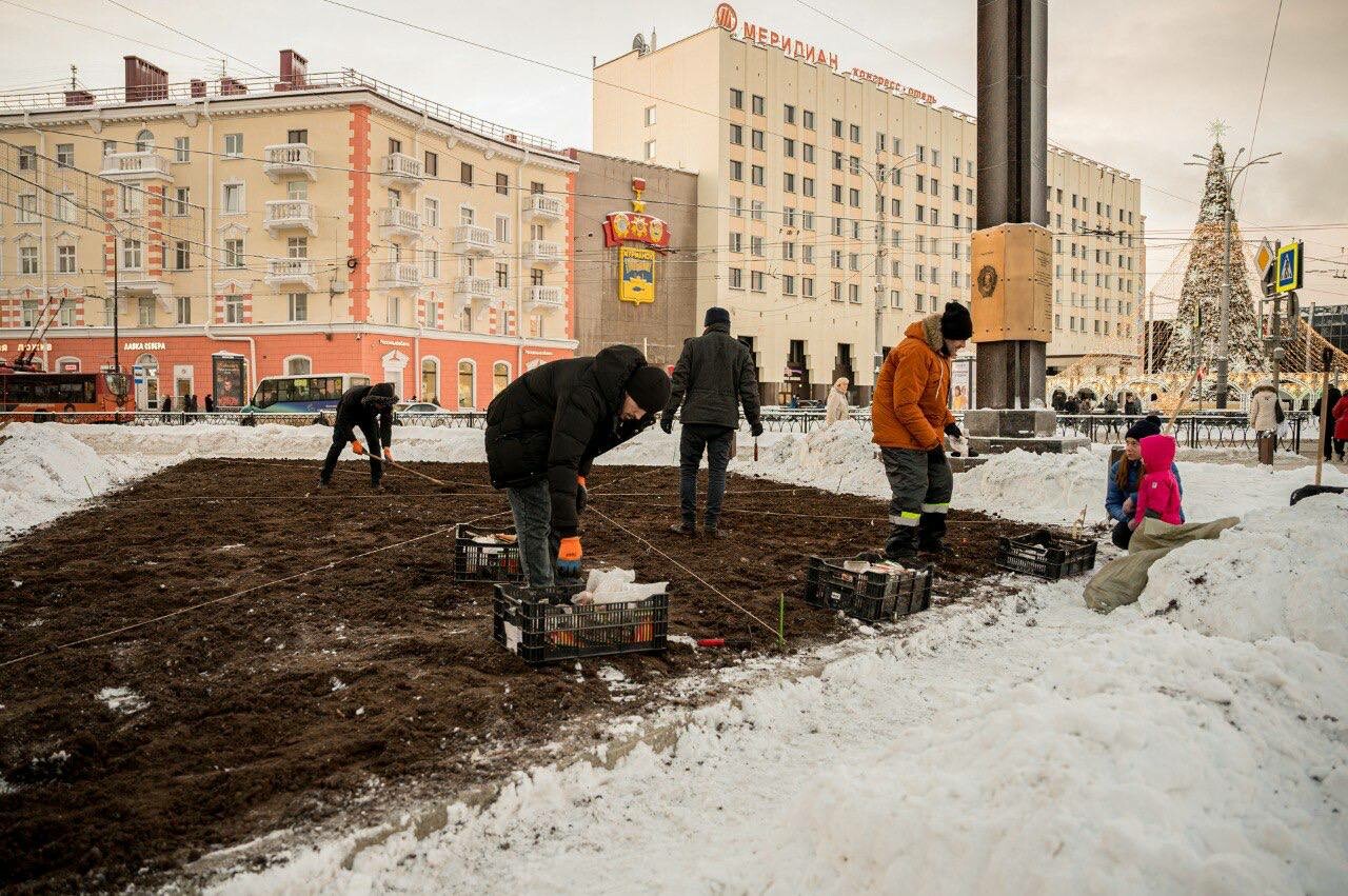 Иван Лебедев сообщил о подготовке к озеленительной кампании 2026 года в Мурманске