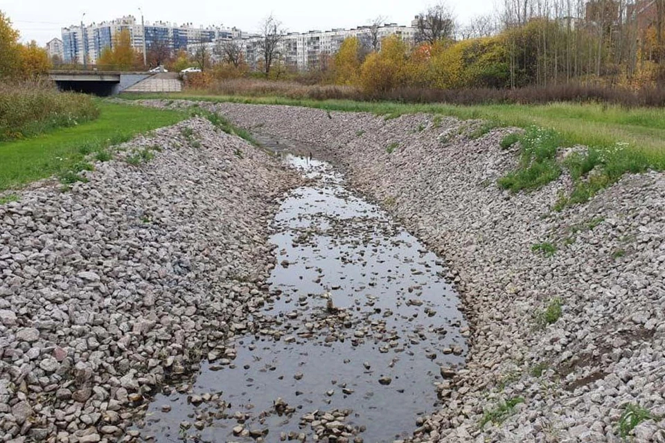 В Петербурге исследовали Муринский ручей после жалоб жителей на запах