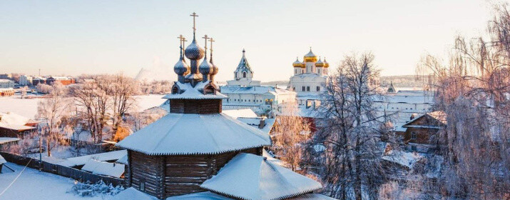 Под Костромой нашли костяную лошадку V века до нашей эры