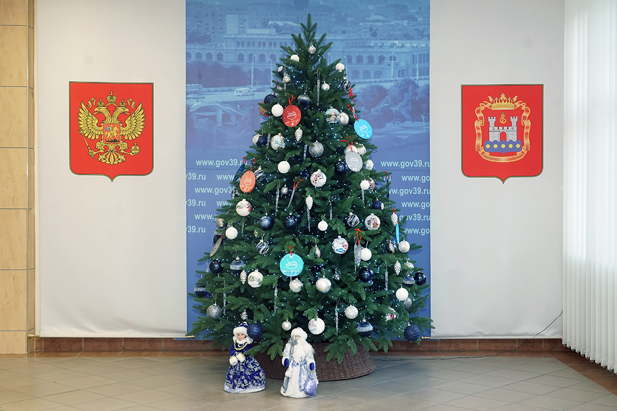 В Калининградской области дали старт акции «Елка желаний»