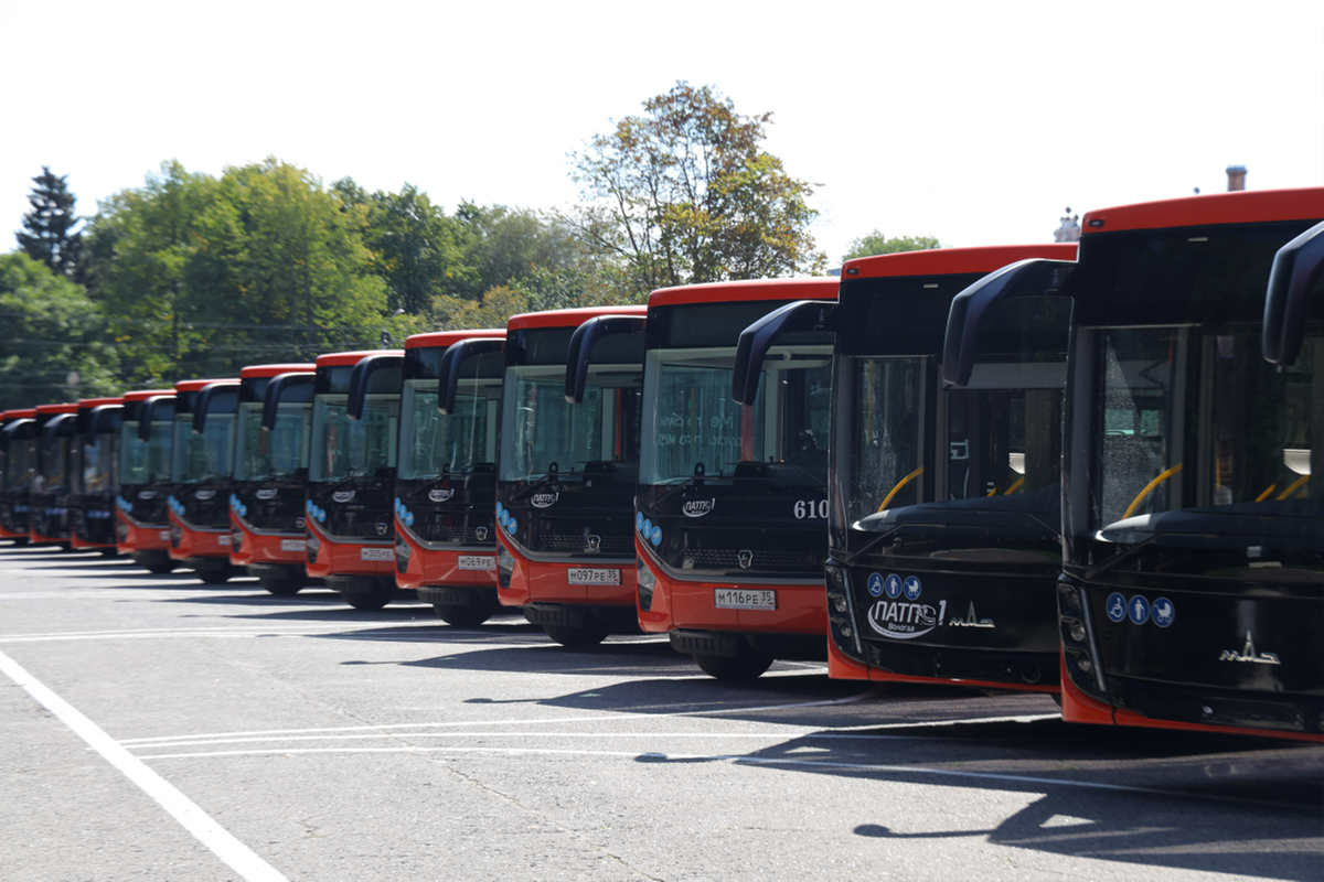В Вологодскую область поступили 53 новых автобуса благодаря нацпроекту
