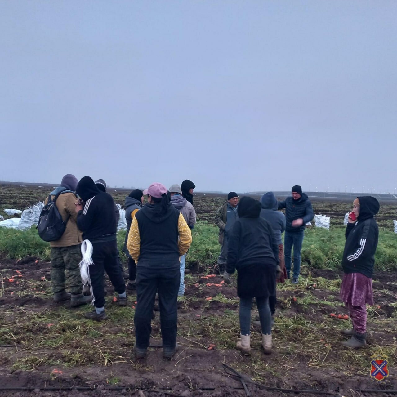 В Волгоградской области выявили 14 нелегально работавших иностранцев