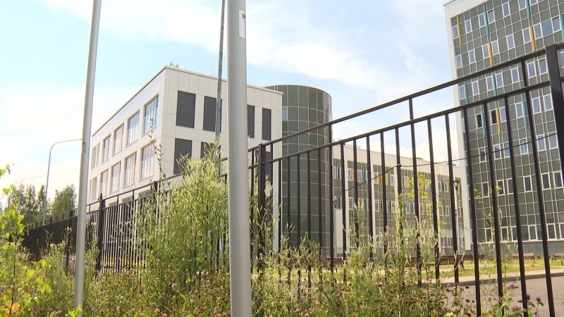 В Петербурге в декабре 2026 года откроют новое фондохранилище Кунсткамеры