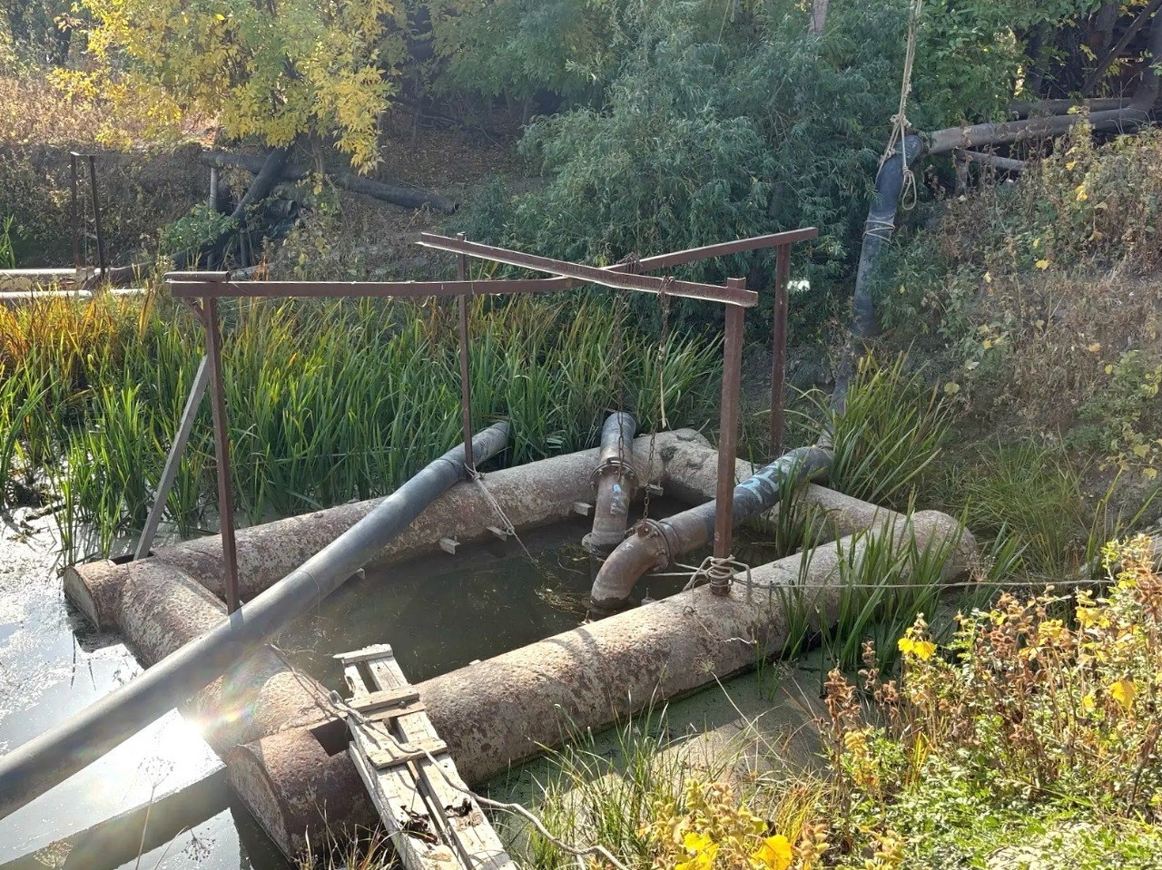 Шесть садовых товариществ в Астрахани годами качали воду без разрешения
