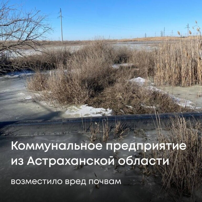 В Астраханской области коммунальщики загрязнили землю почти на 1 млн рублей