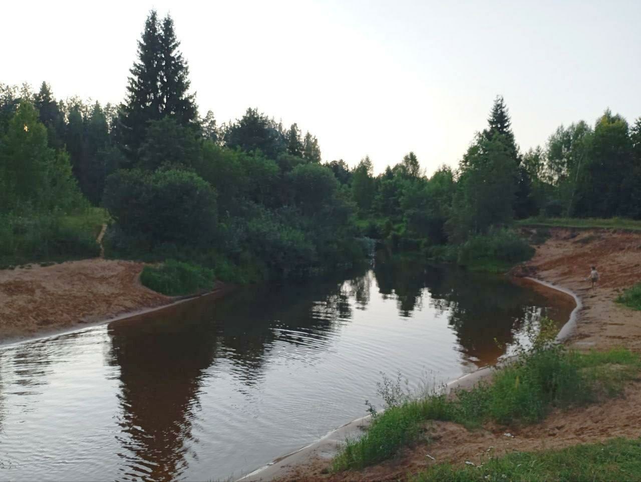 В Ленобласти отменили разрешение на новые песчаные карьеры ради природы