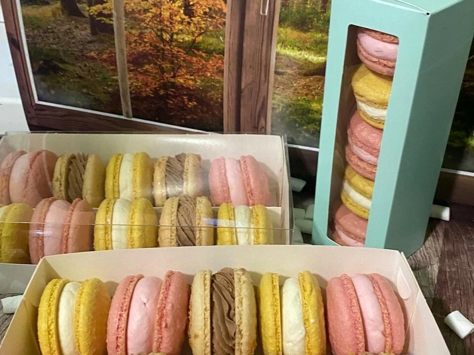 В Краснодарском крае за 2025 год подписали более чем 7,6 тысячи социальных контрактов