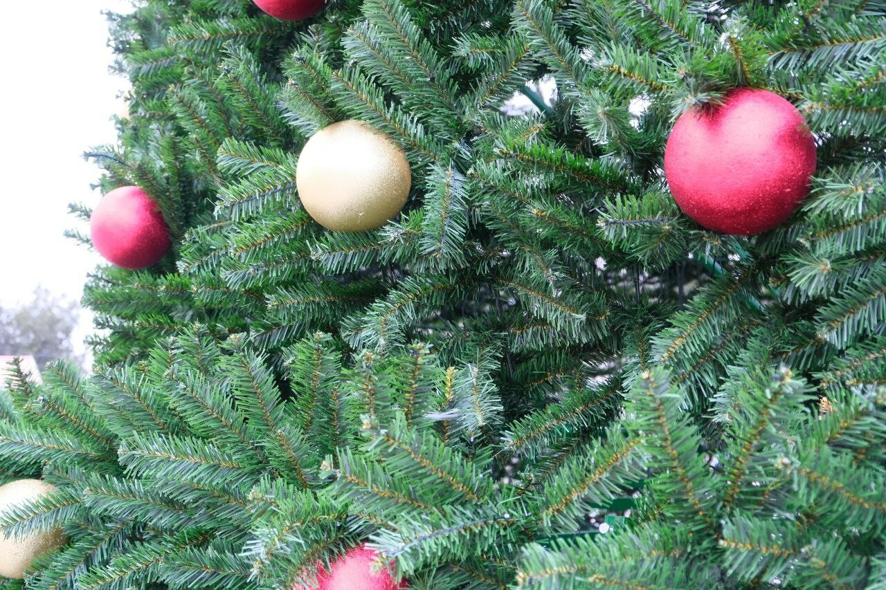 Главная елка Астрахани засияет 19 декабря и даст старт новогодним гуляниям