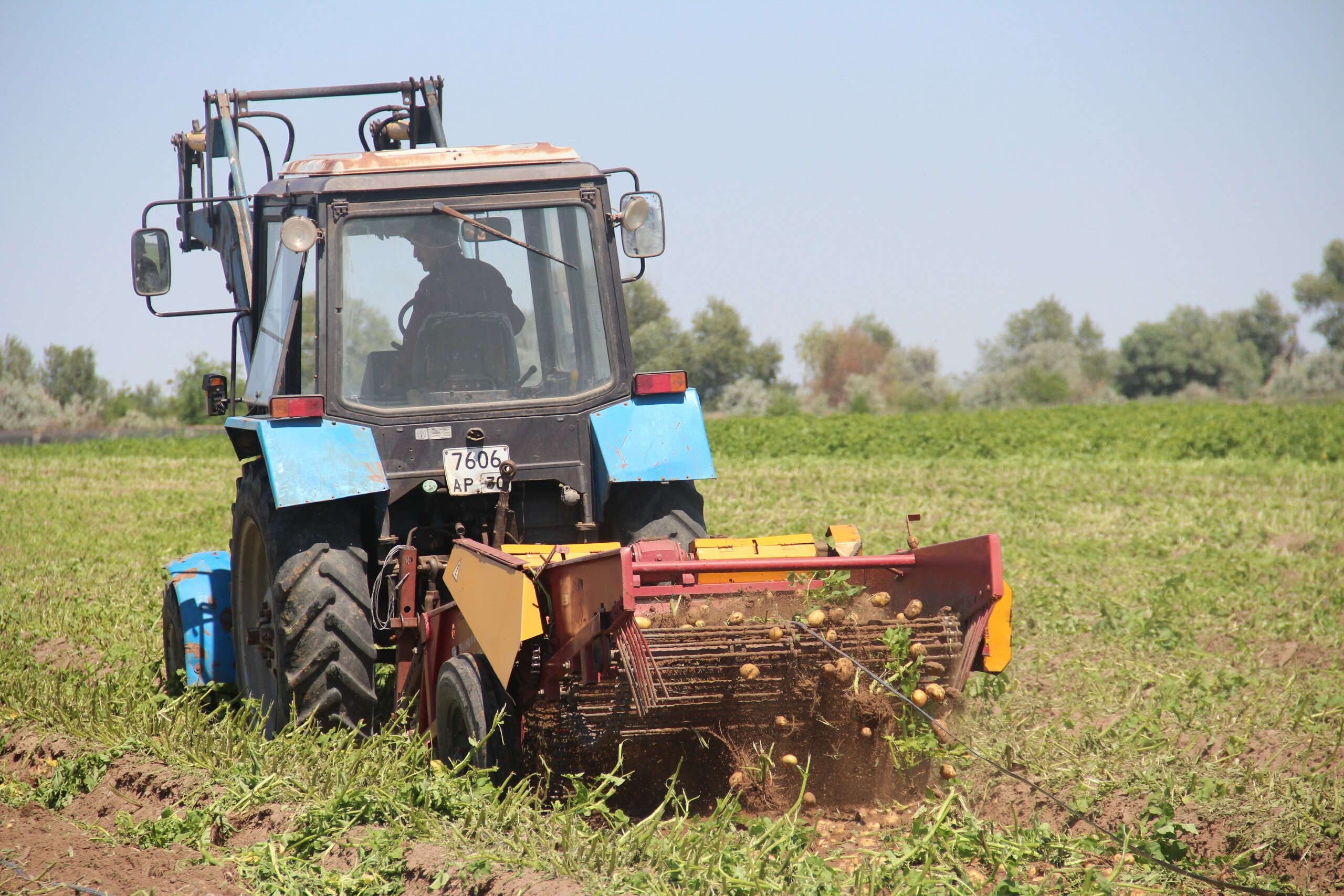 Астраханские студенты заняли второе место с проектом по восстановлению почв