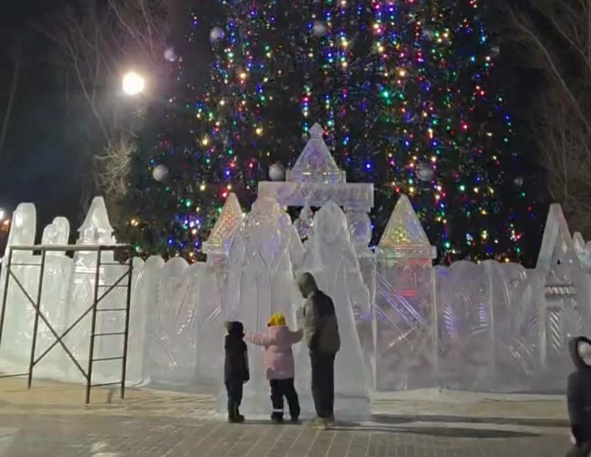 Лемин сообщил, что в Черногорском парке зажгли городскую елку
