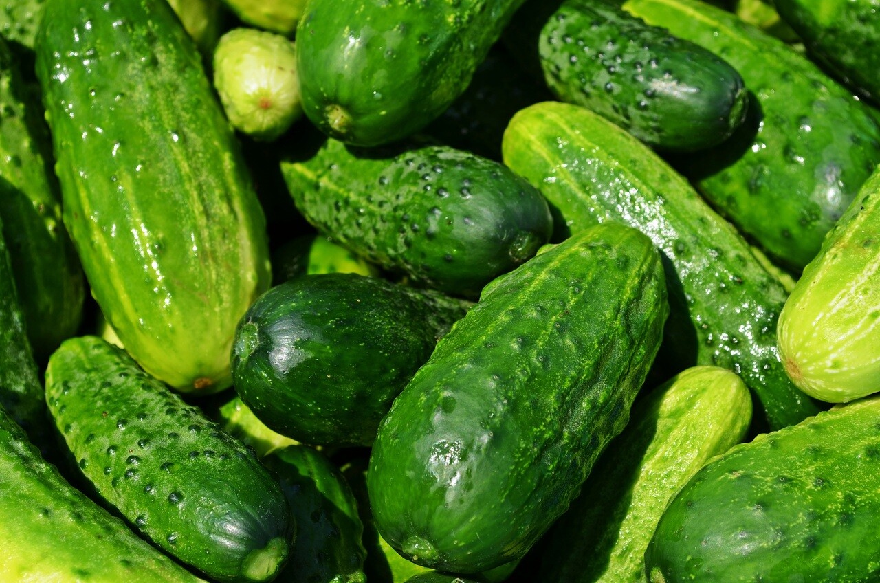В магазинах Курской области подорожали картофель и огурцы