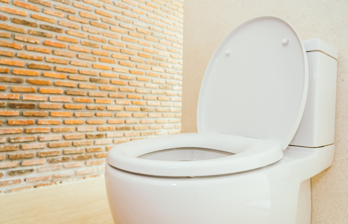 Змея в унитазе салона: мужчина случайно столкнулся с рептилией в Малайзии