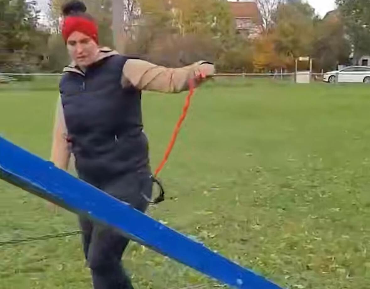 В Германии люди начали выгуливать несуществующих собак