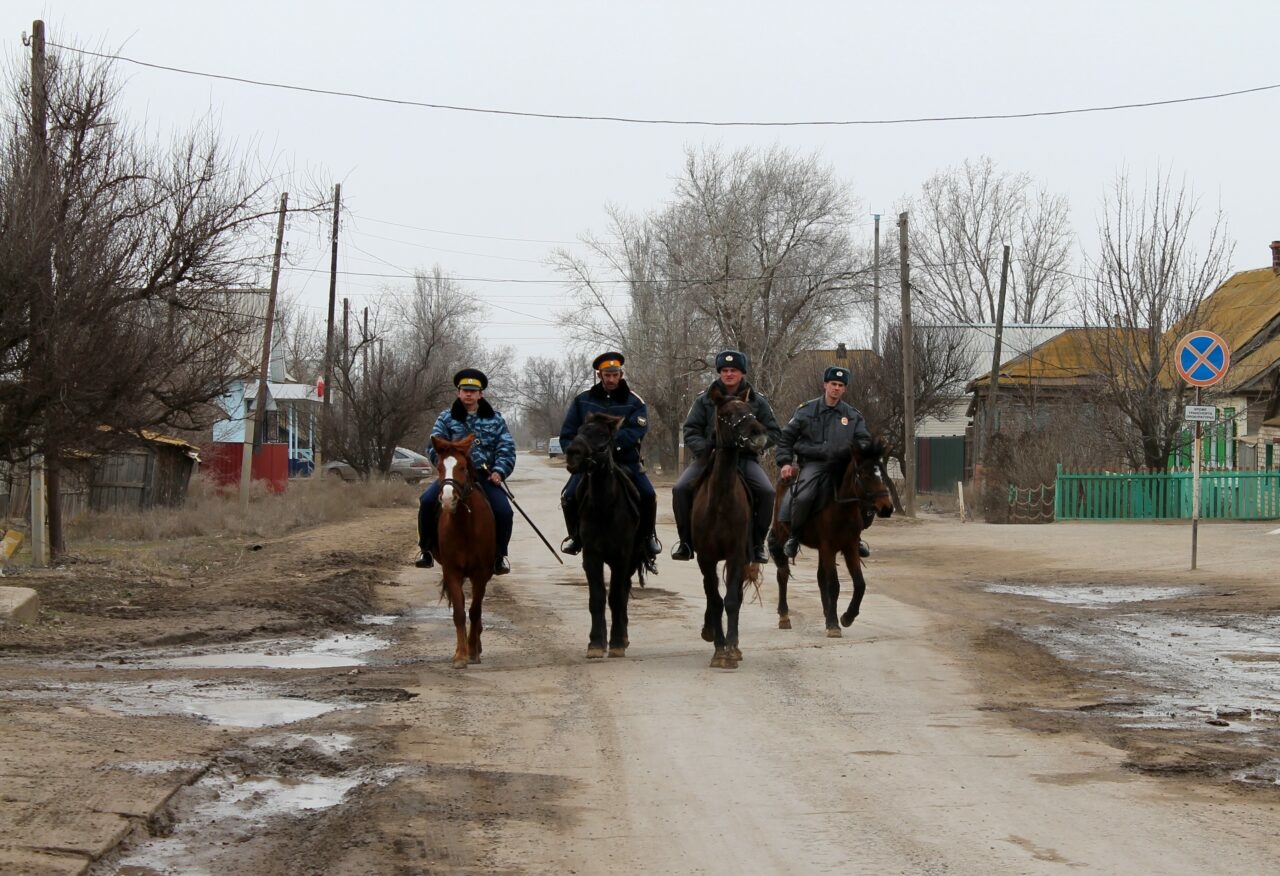 В Астрахани продают базу конной полиции на улице Рождественского