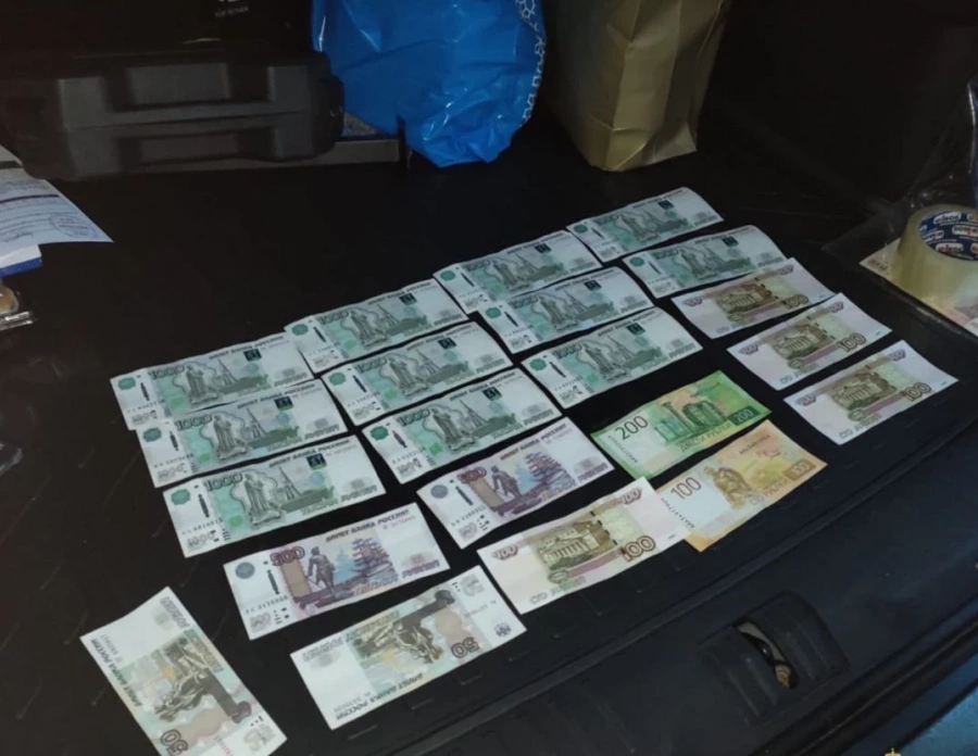 Дело ректора петербургского института о незаконной миграции направлено в суд